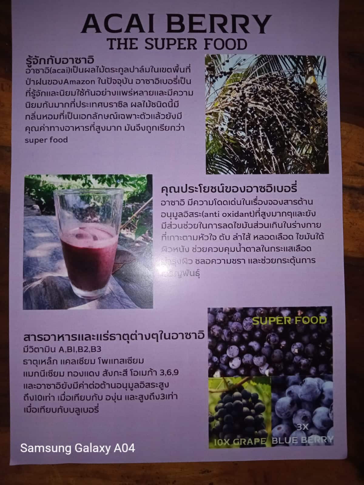 Acai berry 1 thailand