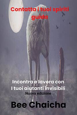 spiriti guida cover