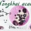 acai nongkhai